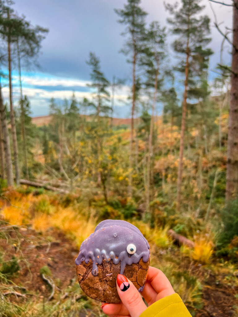 Cookie with eyes being held up in a hand